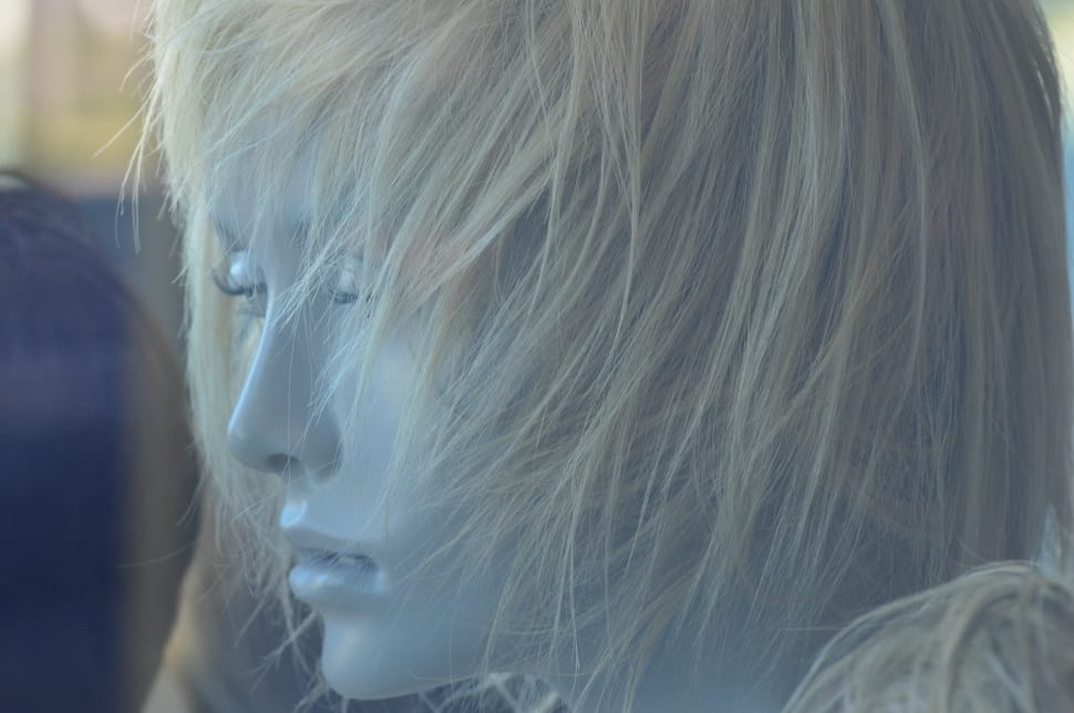 Display Dummy, Blond, Hair, Wig, headshot, one person preview
