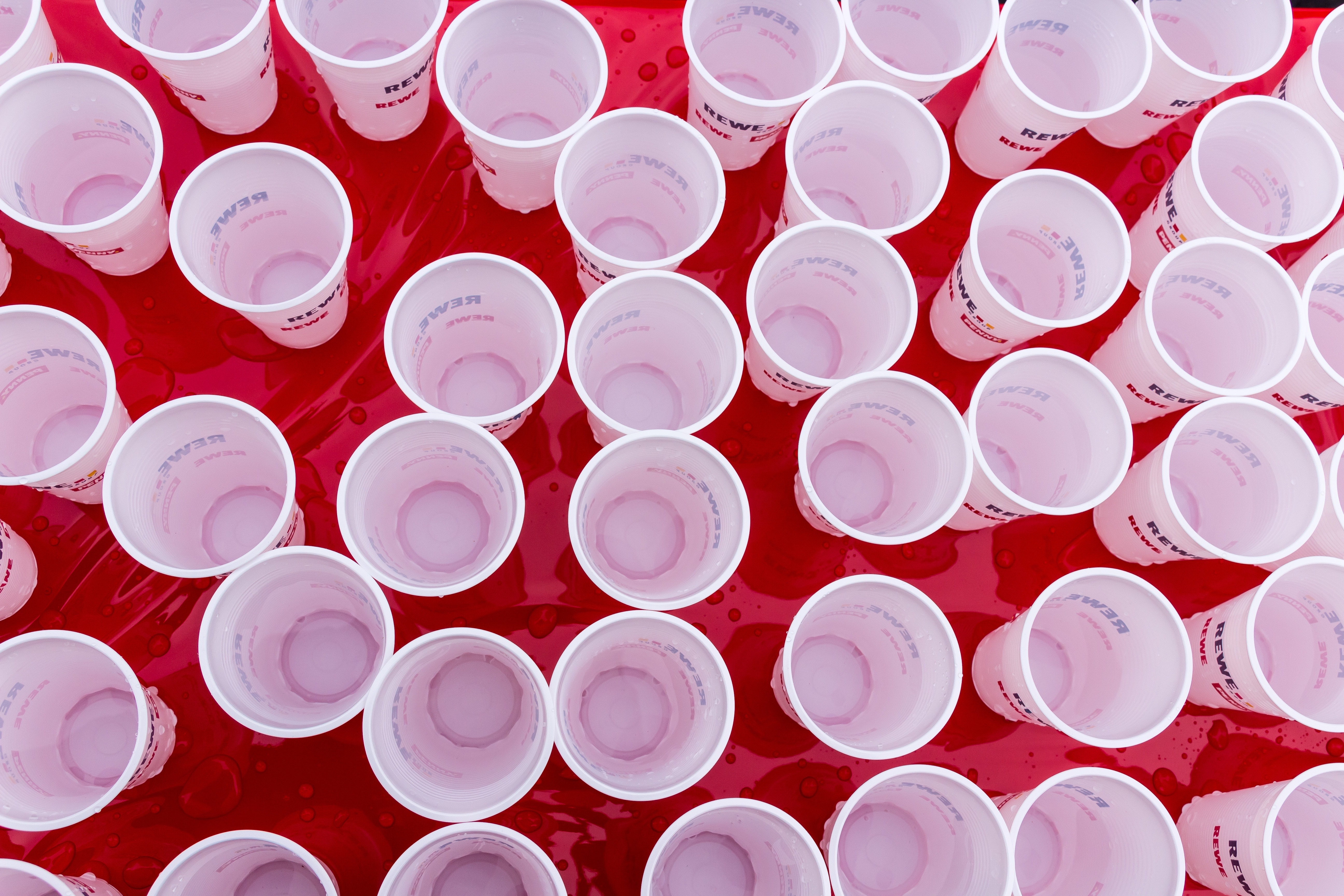 white plastic disposable cups