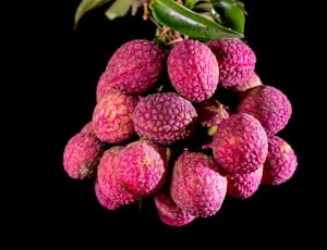 pink fruits thumbnail