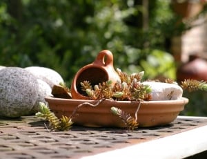 Ceramic, Garden, Pots, Mediterranean, selective focus, no people thumbnail