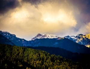 green forest beside mountain covered with snow during daytime thumbnail