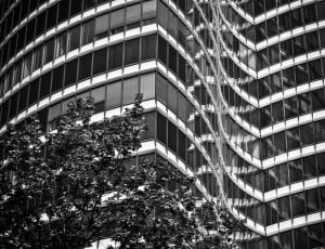 white and black building and tree illustration thumbnail
