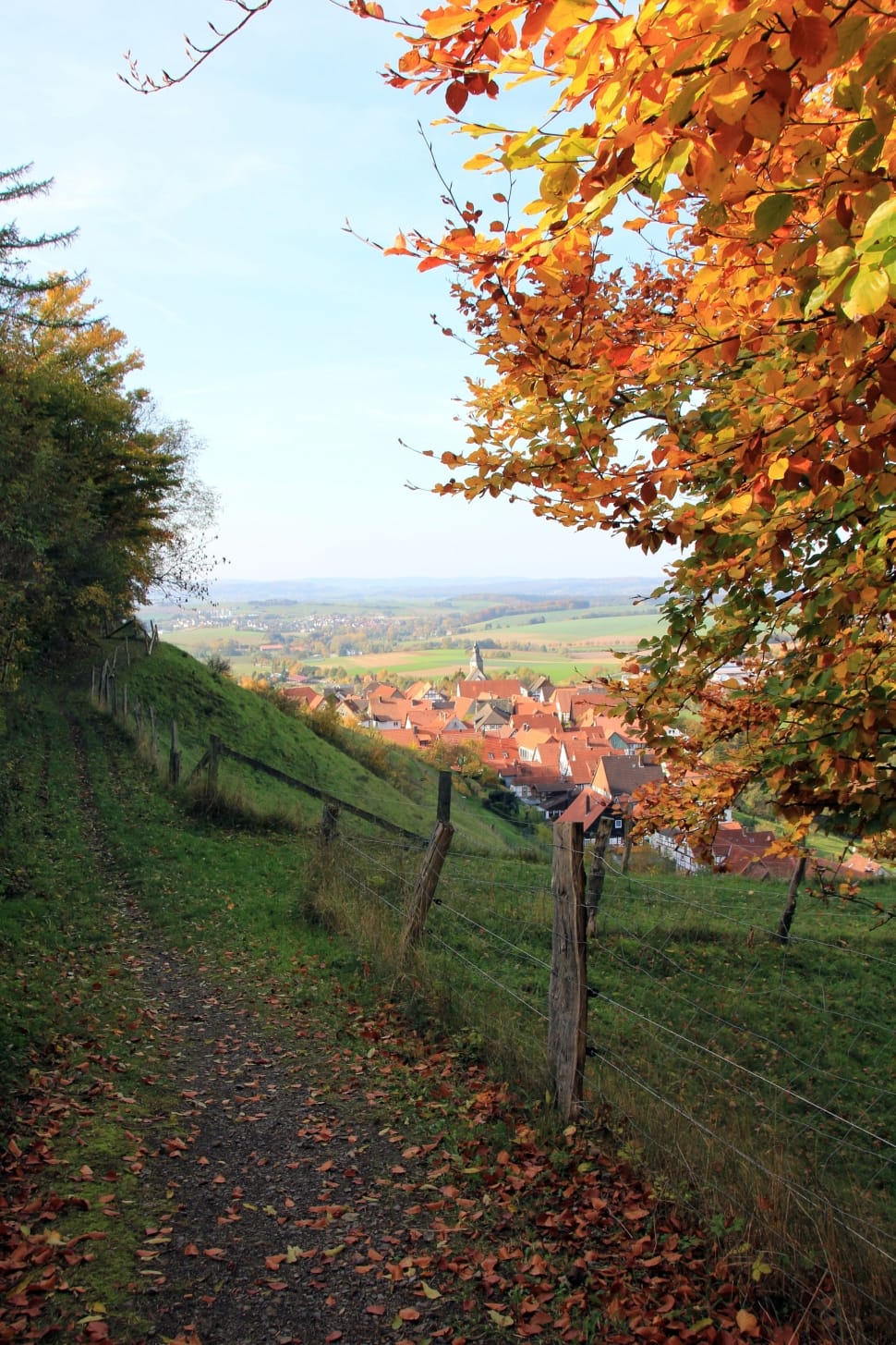 Away, Fence, Landscape, Teutoburg Forest, autumn, leaf preview