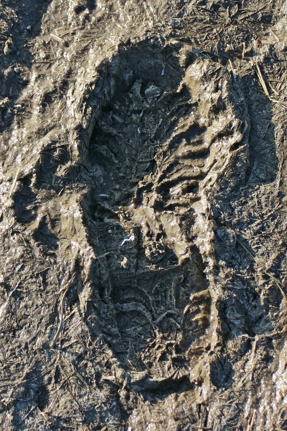 footprint on mud preview