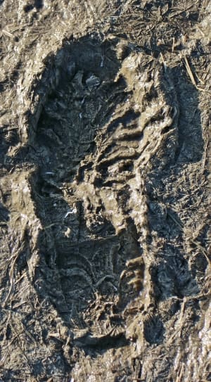 footprint on mud thumbnail