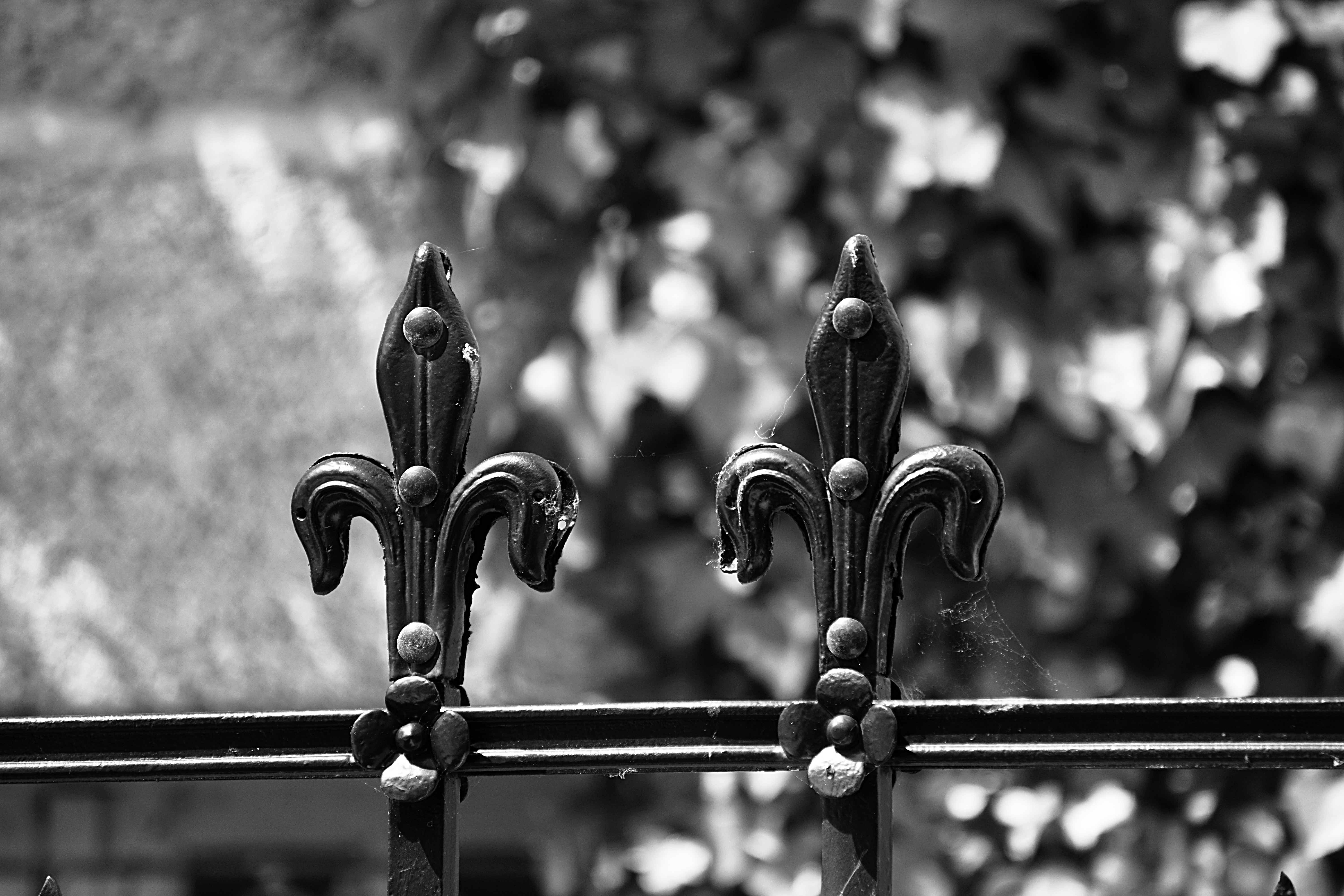 metal fence fleur de lis