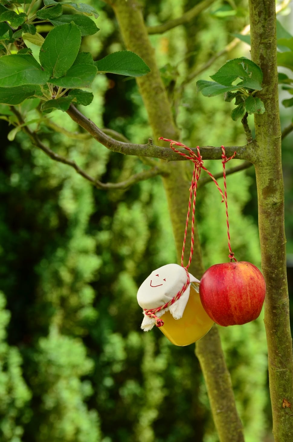 apple and drum hanging decors preview