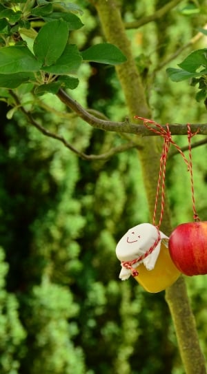 apple and drum hanging decors thumbnail