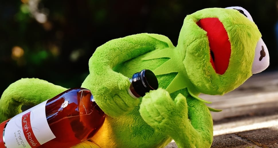 Drink, Kermit, Alcohol, Drunk, Frog, one animal, animal body part preview