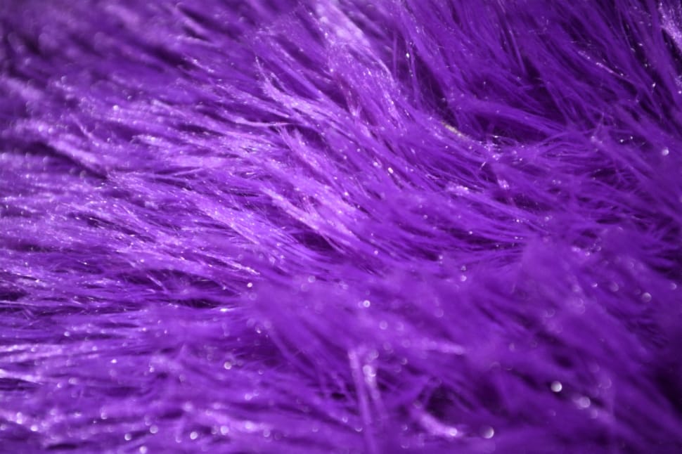 closeup photo of purple furs preview