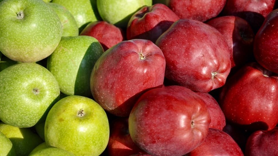 red and green apple fruits preview