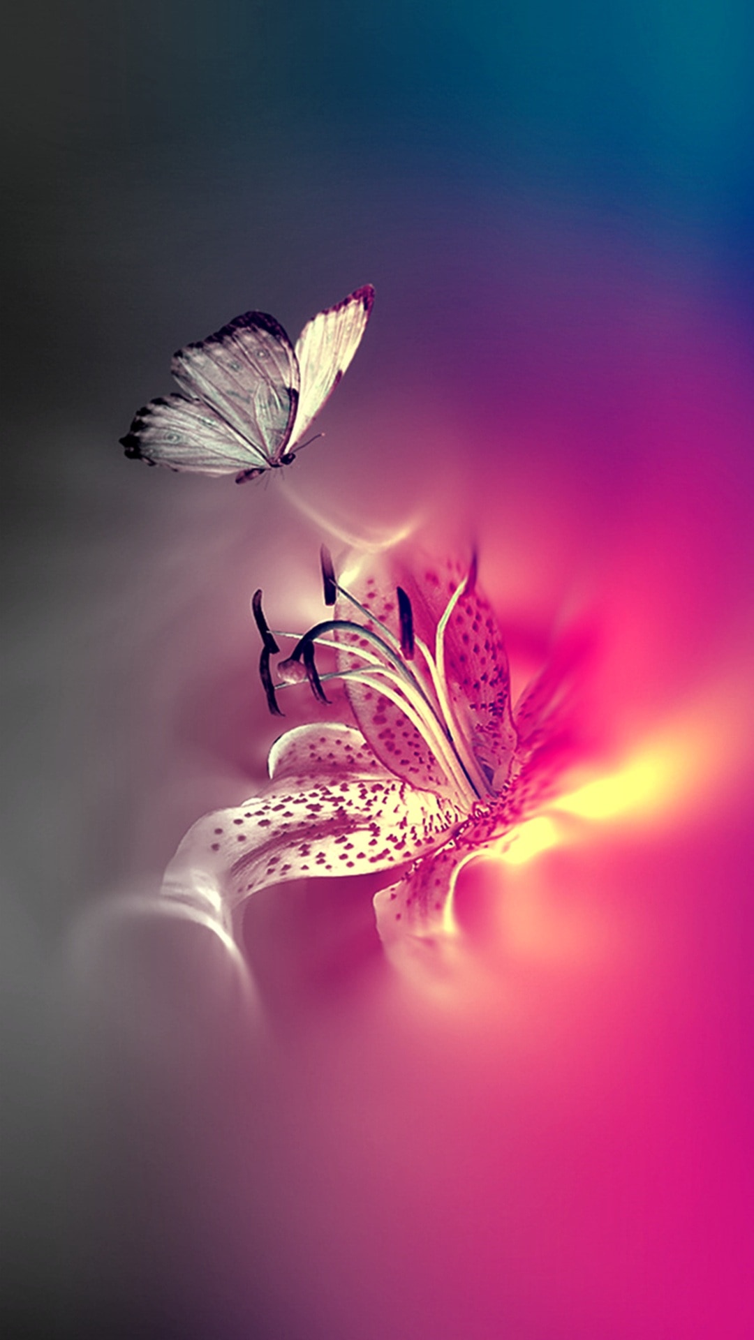 Bug, Pink, Butterflies, flower, petal