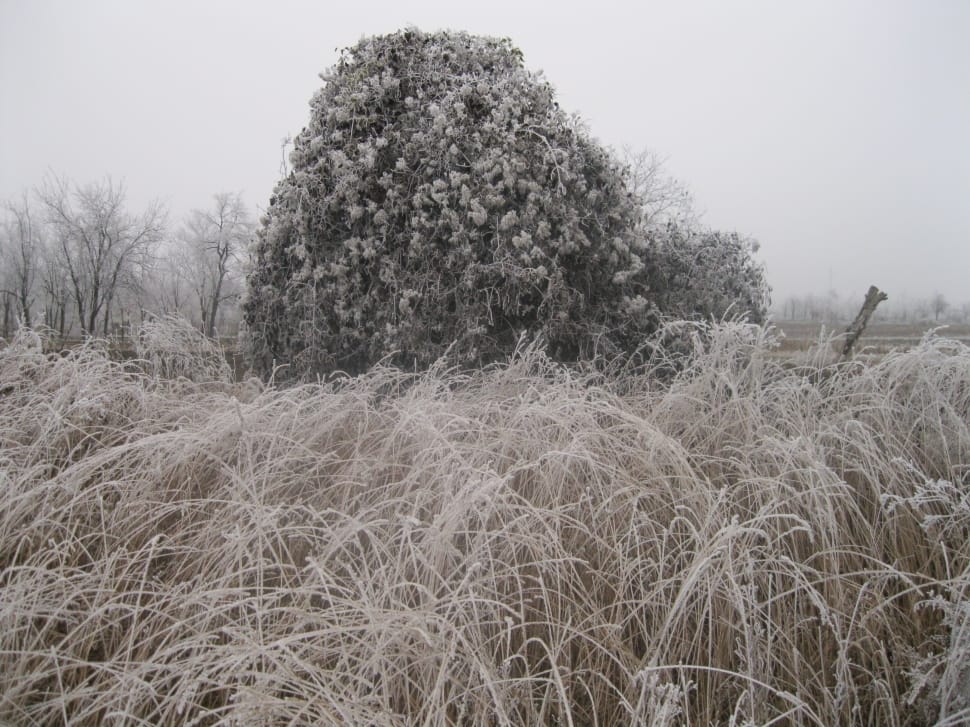 gray scale photo of field preview