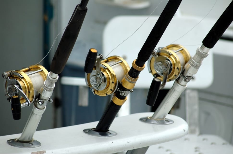 three gold fishing reels preview