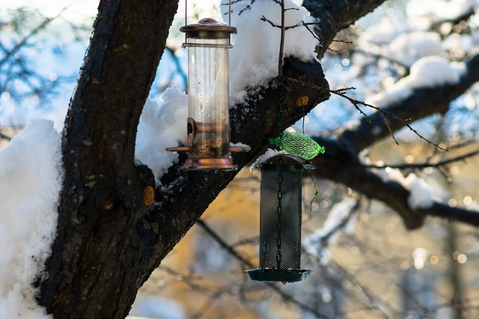 2 metal framed bird feeder preview