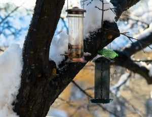 2 metal framed bird feeder thumbnail