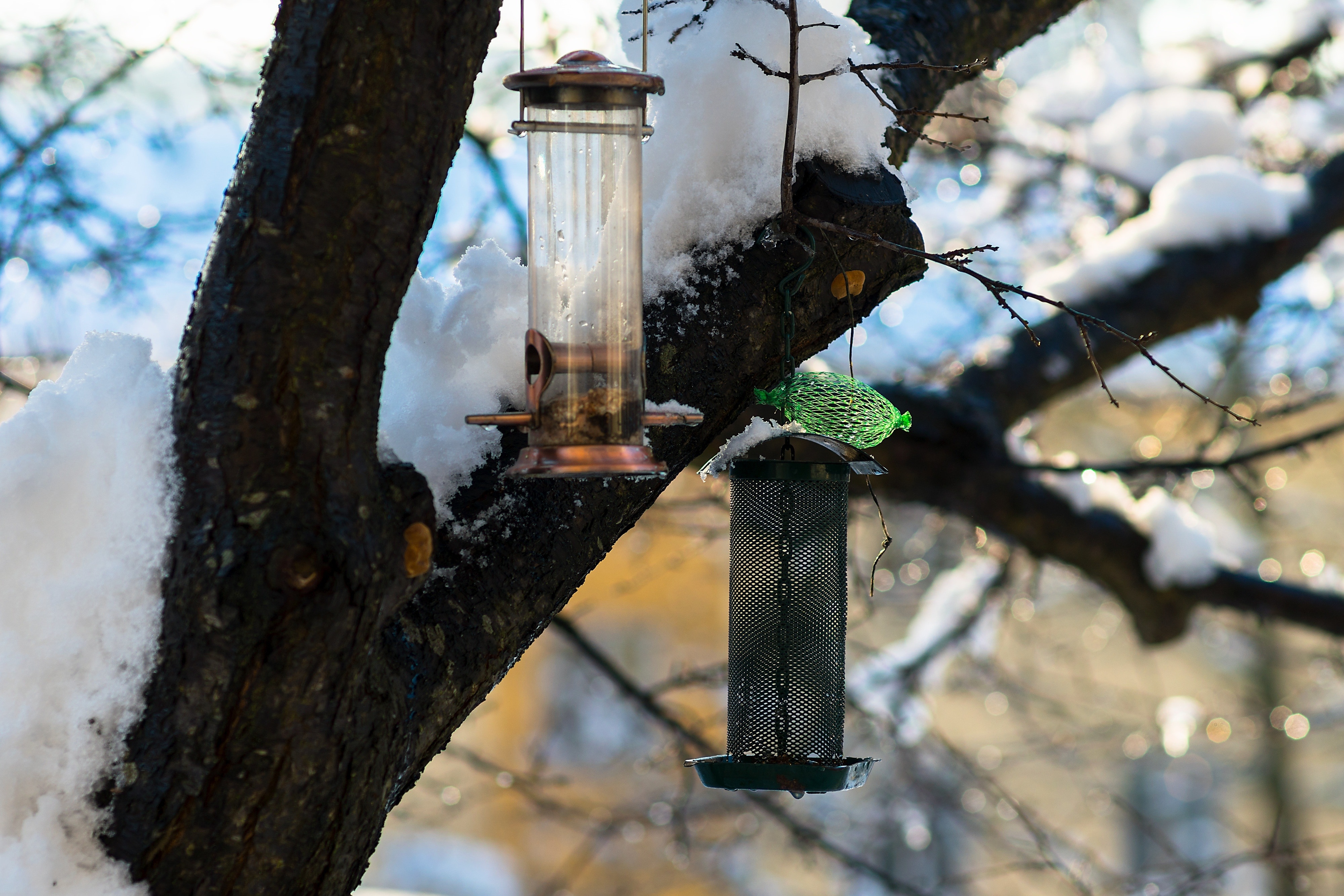 2 metal framed bird feeder