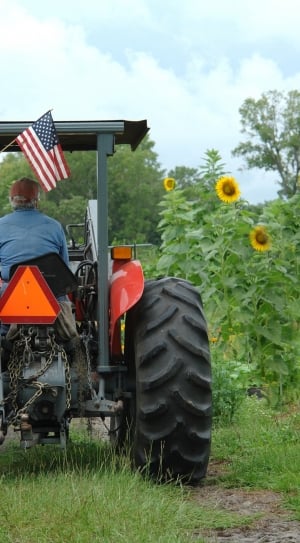 man in blue long sleeves driving farm tractor during day time thumbnail