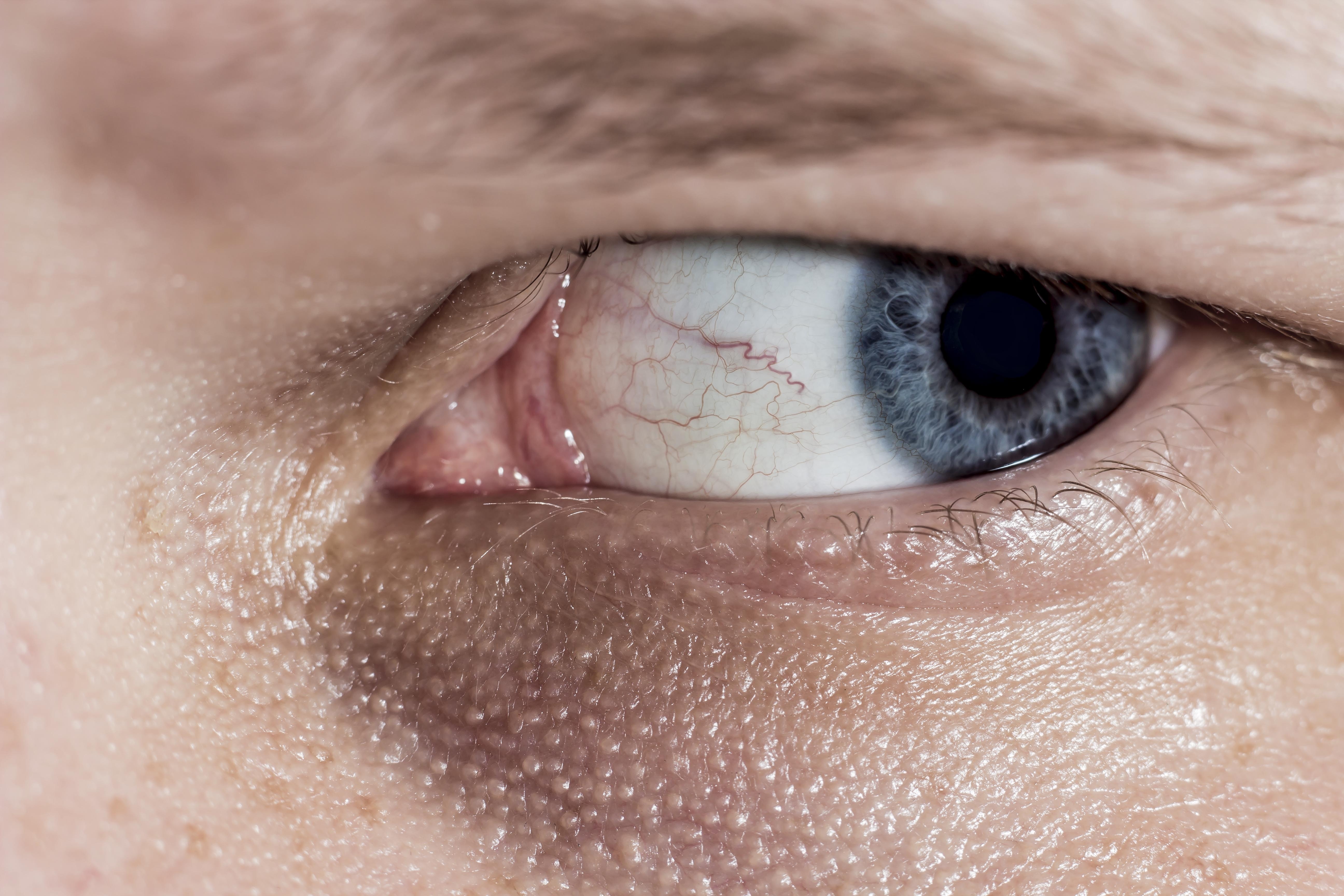Closeup, Eye, Skin, Macro, Look, Blue, human eye, human body part