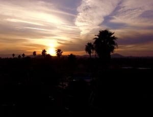 silhouette photo of palm trees during sunset thumbnail