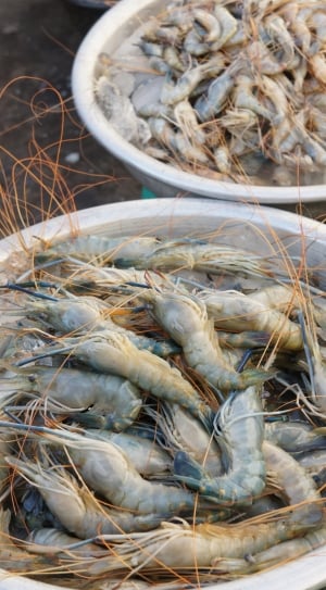 bucket of shrimps thumbnail