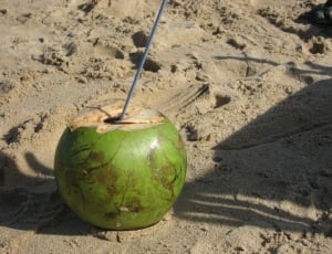 green coconut thumbnail