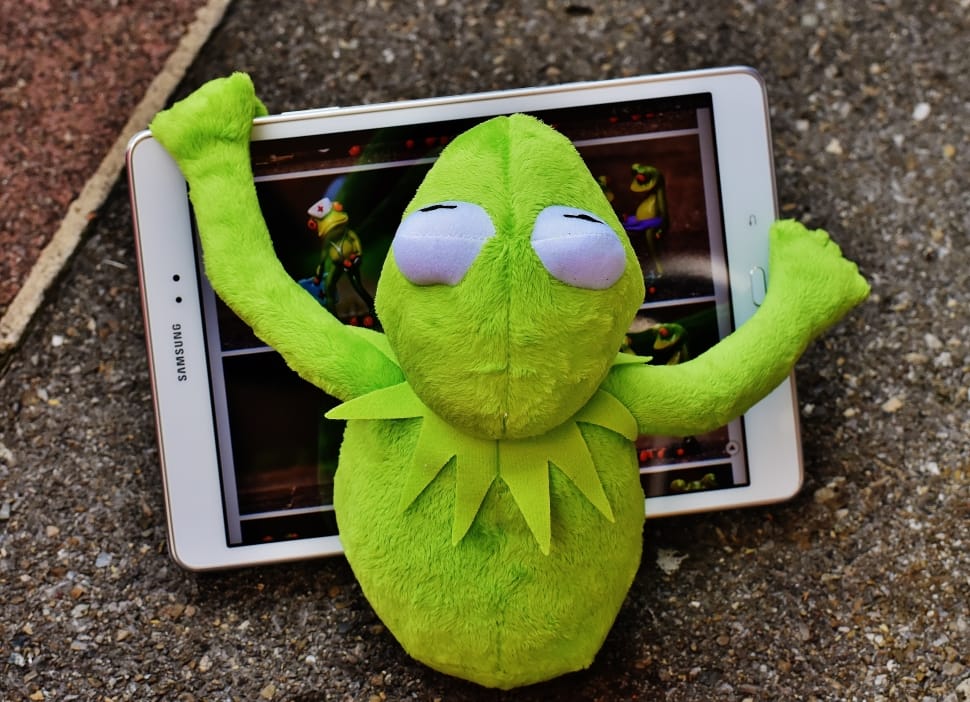 green frog plush toy preview