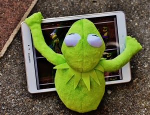green frog plush toy thumbnail