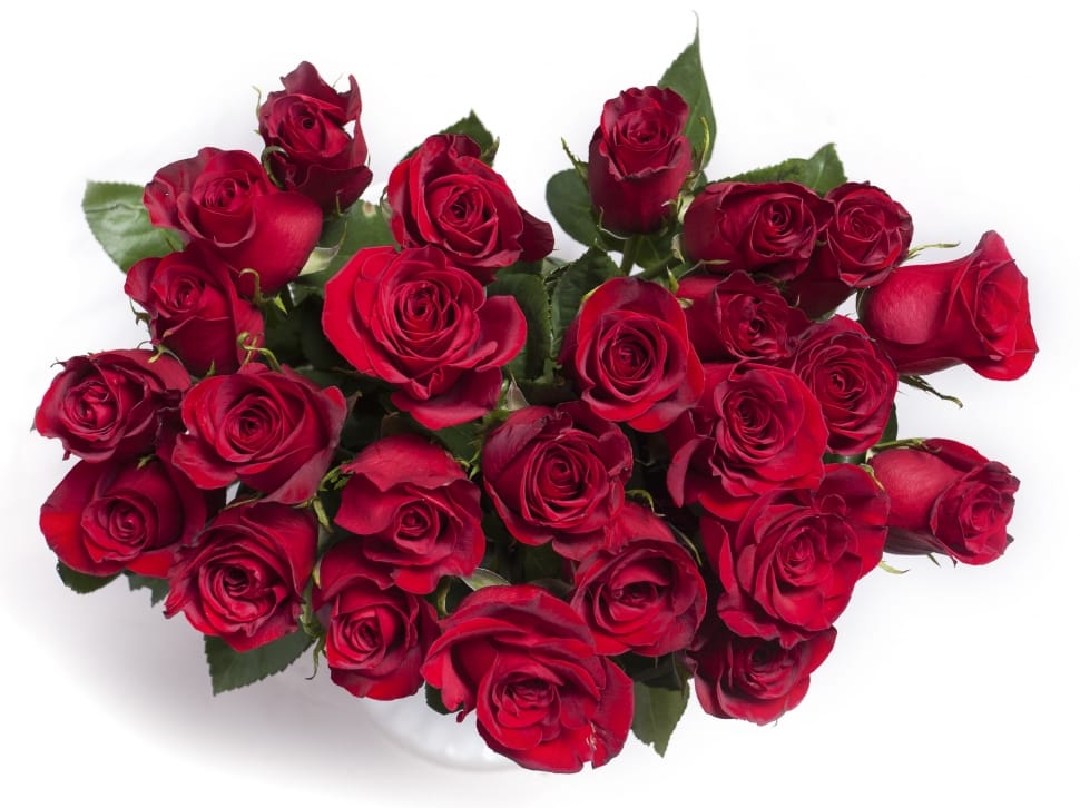 Flowers, Red, Bouquet, Red Roses, Roses, rose - flower, flower preview