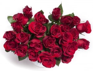 Flowers, Red, Bouquet, Red Roses, Roses, rose - flower, flower thumbnail