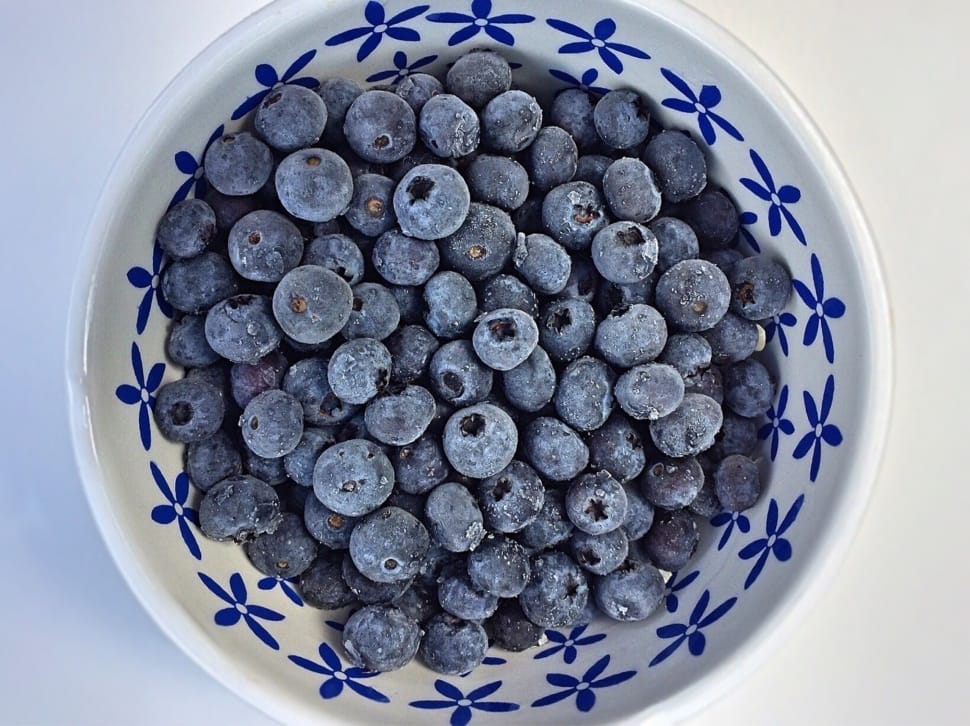 bowl of blueberries preview