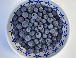 bowl of blueberries thumbnail