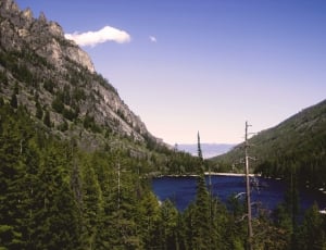 body of water surrounded by trees covered mountain thumbnail