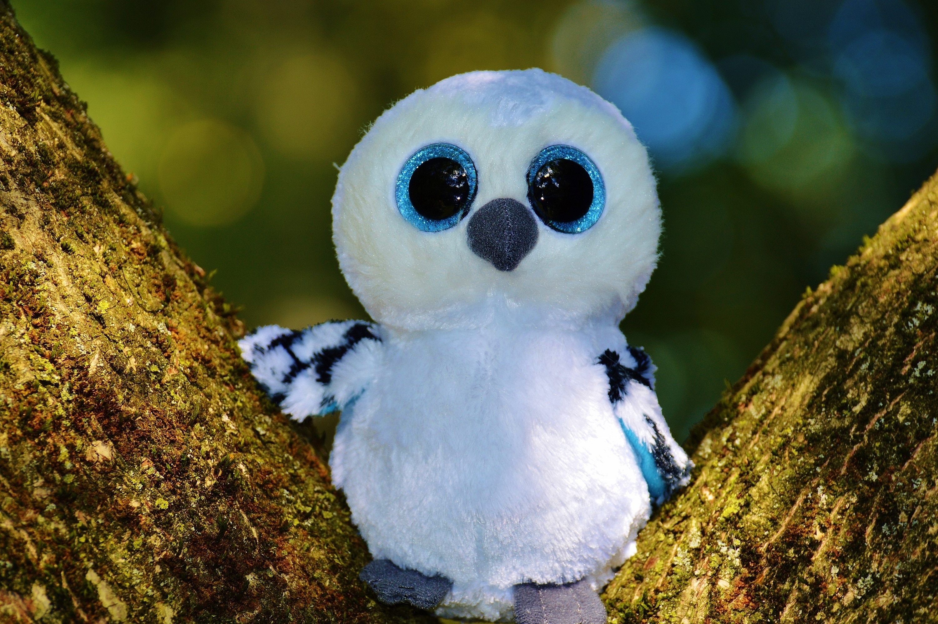 white and blue bird lush toy