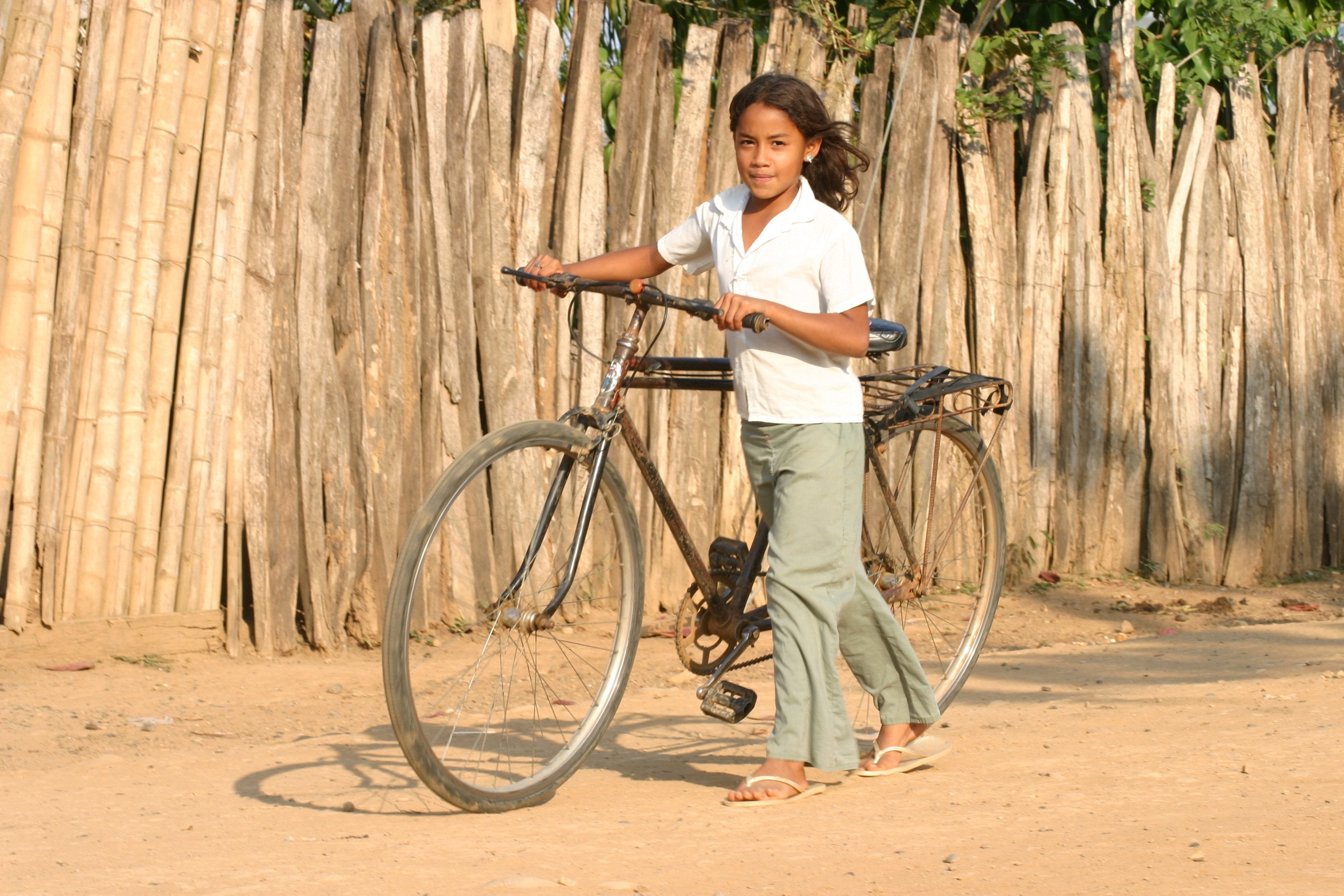 girl holding brown bicycke