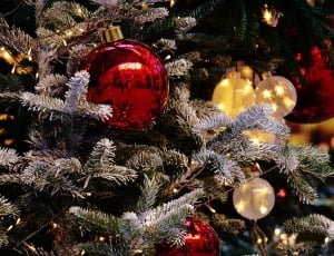 Christmas Balls, Christmas, christmas, christmas tree thumbnail
