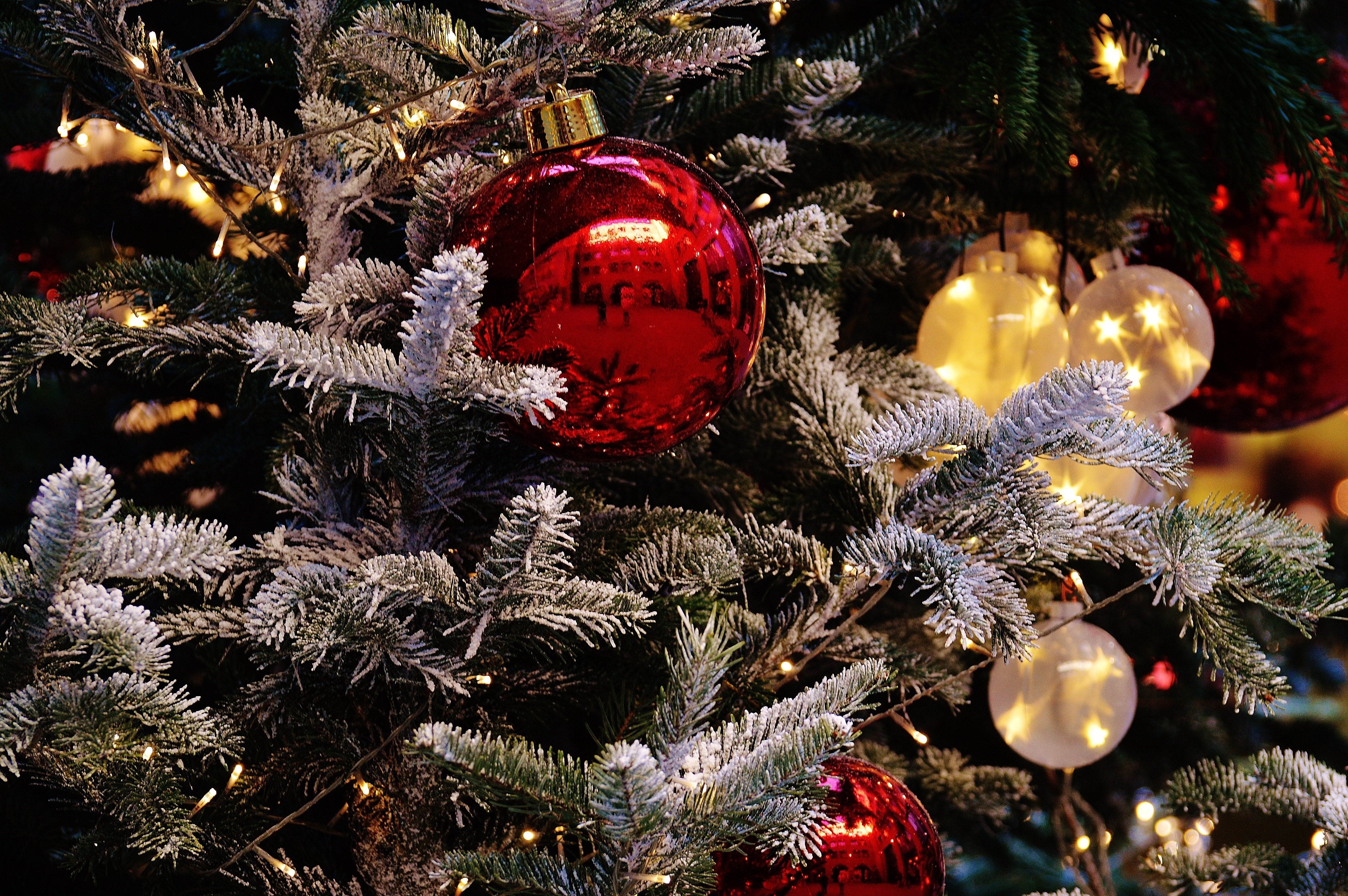 Christmas Balls, Christmas, christmas, christmas tree