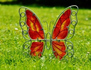 Decoration, Butterfly, Metal, Glass, grass, green color thumbnail
