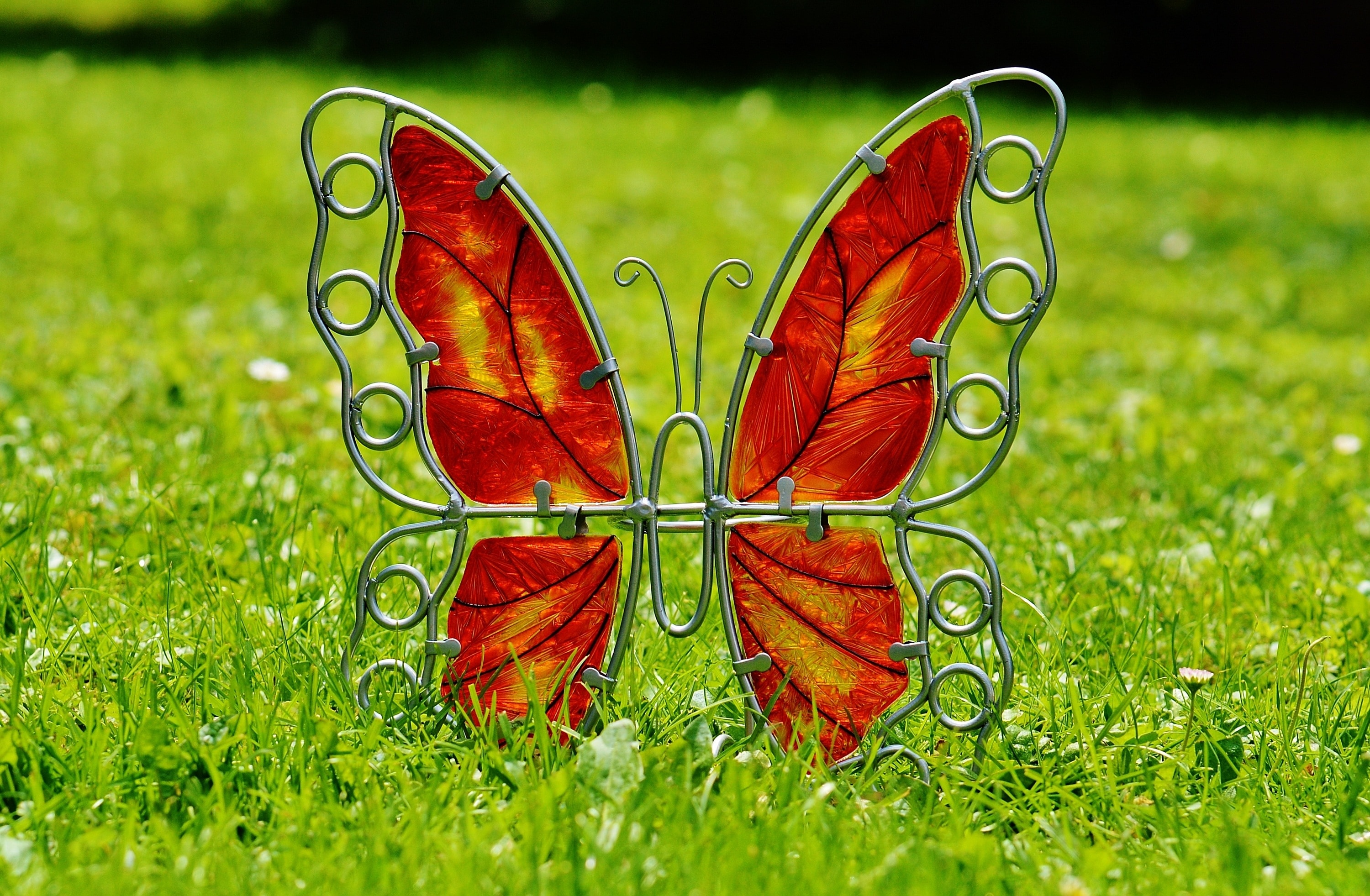 Decoration, Butterfly, Metal, Glass, grass, green color
