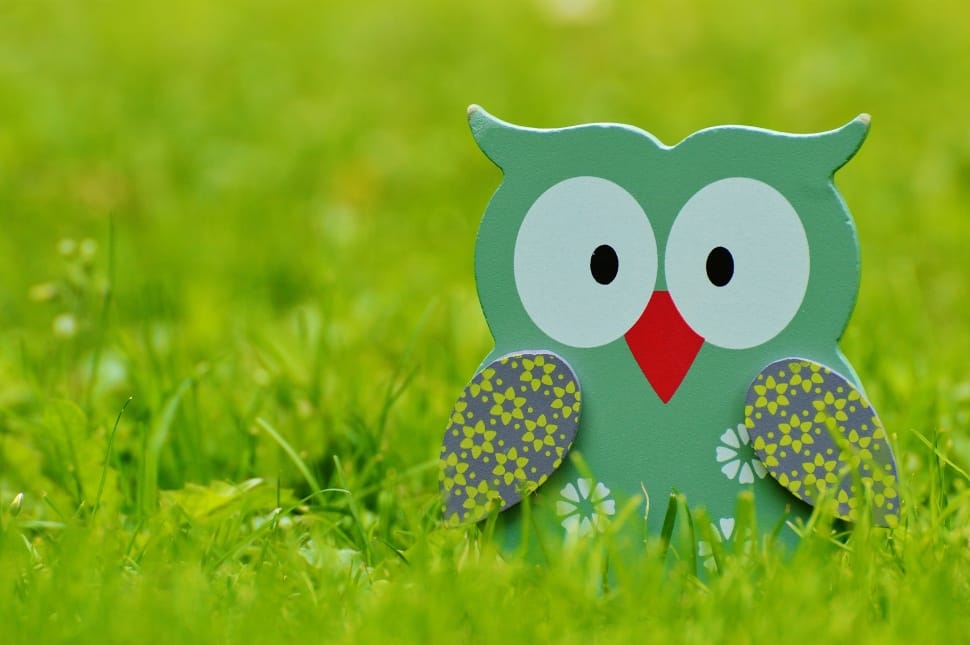 cyan and white wooden owl decor preview