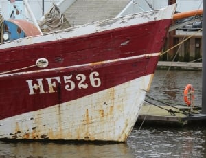 white and black hf526 boat thumbnail