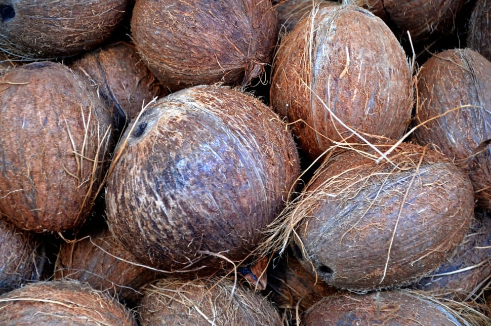 brown coconuts preview