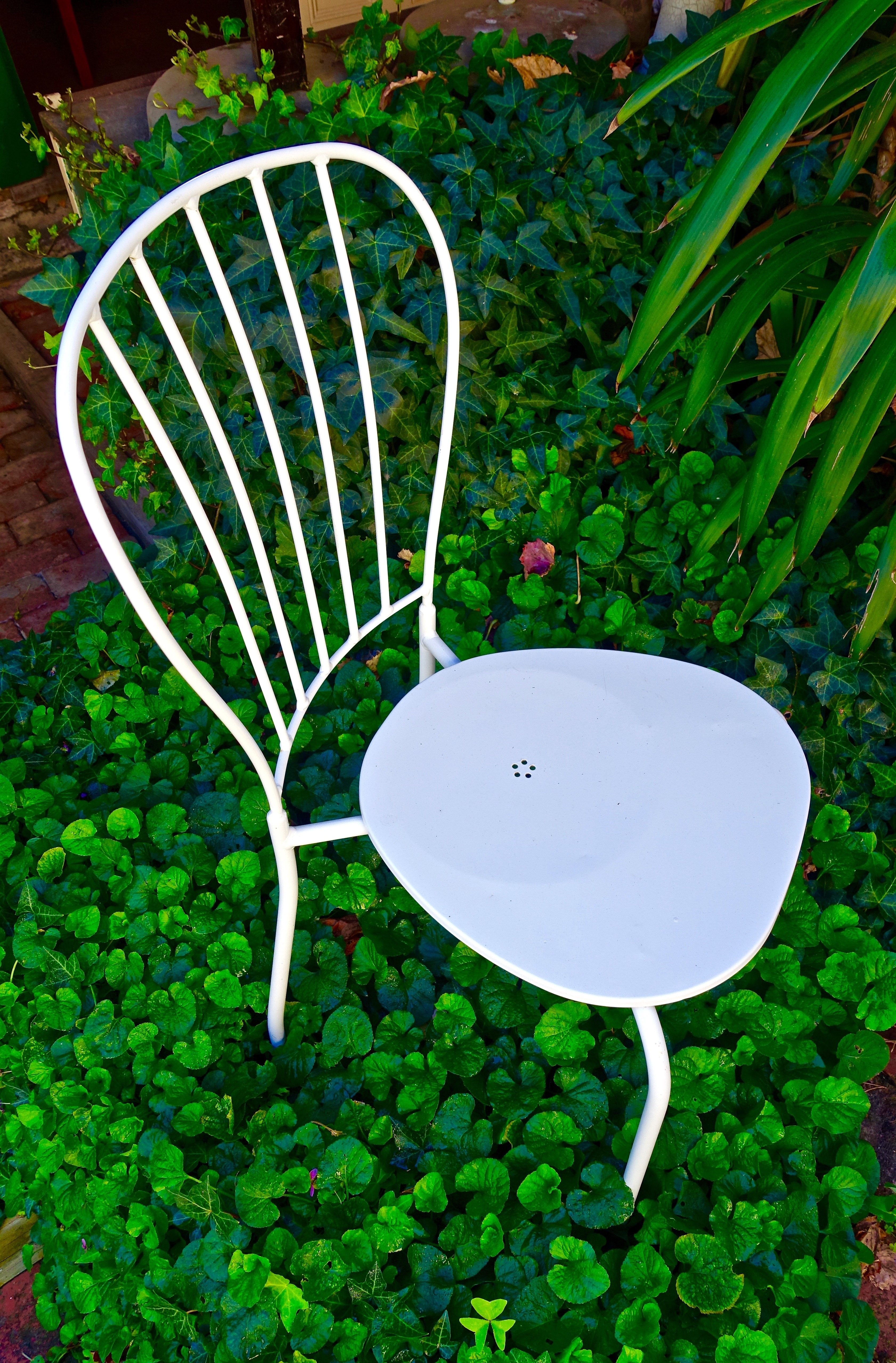 Quaint, White, Garden, Chair, Flimsy, no people, green color