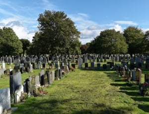photography of cemetery thumbnail