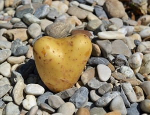 Potato, I Like You, Heart, Love, pebble, stone - object thumbnail