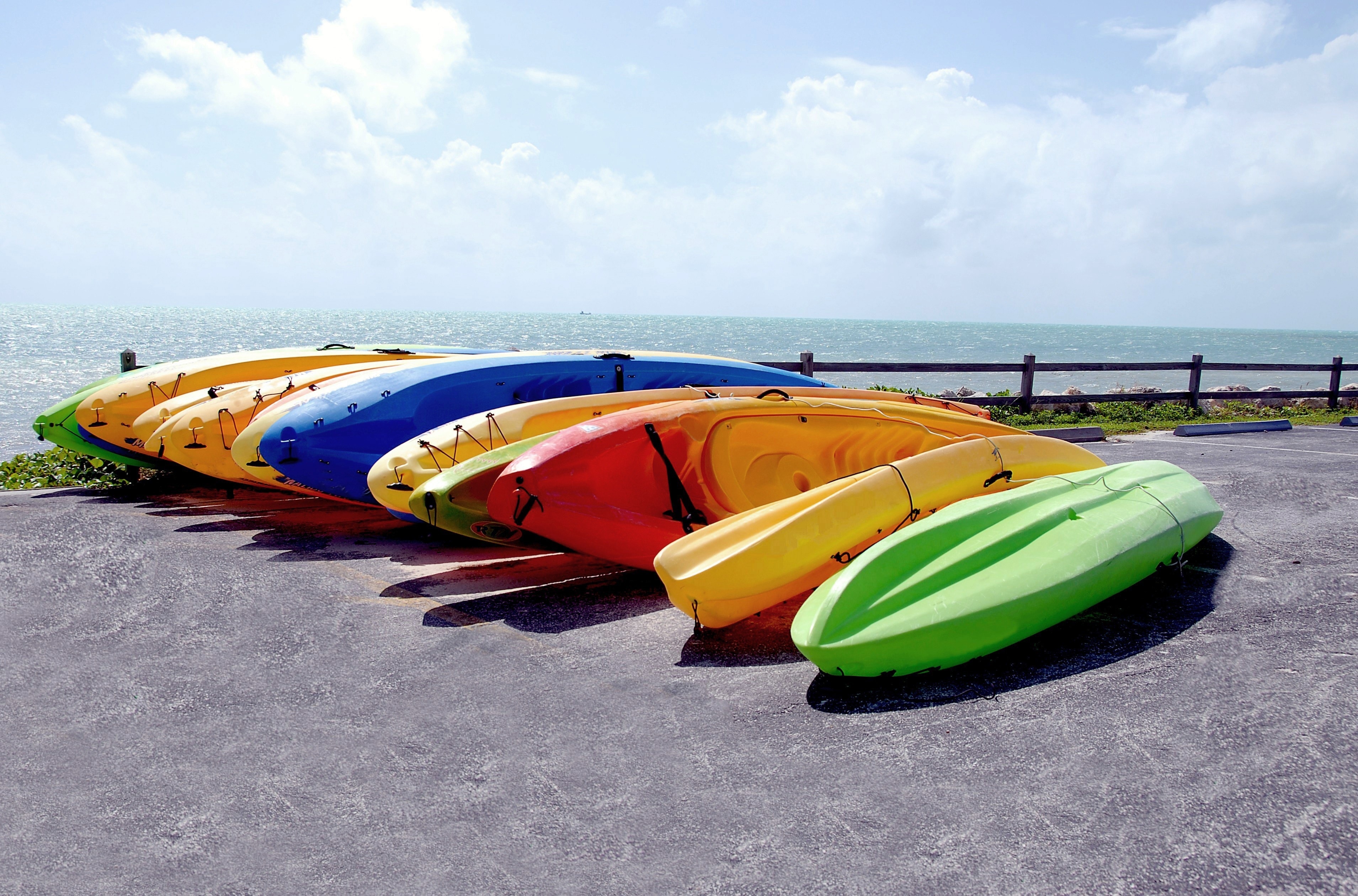 assorted kayaks