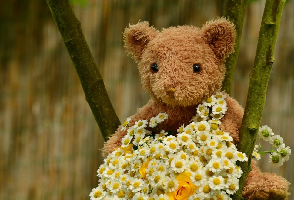 bear plush toy with flowers preview