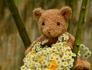 bear plush toy with flowers thumbnail