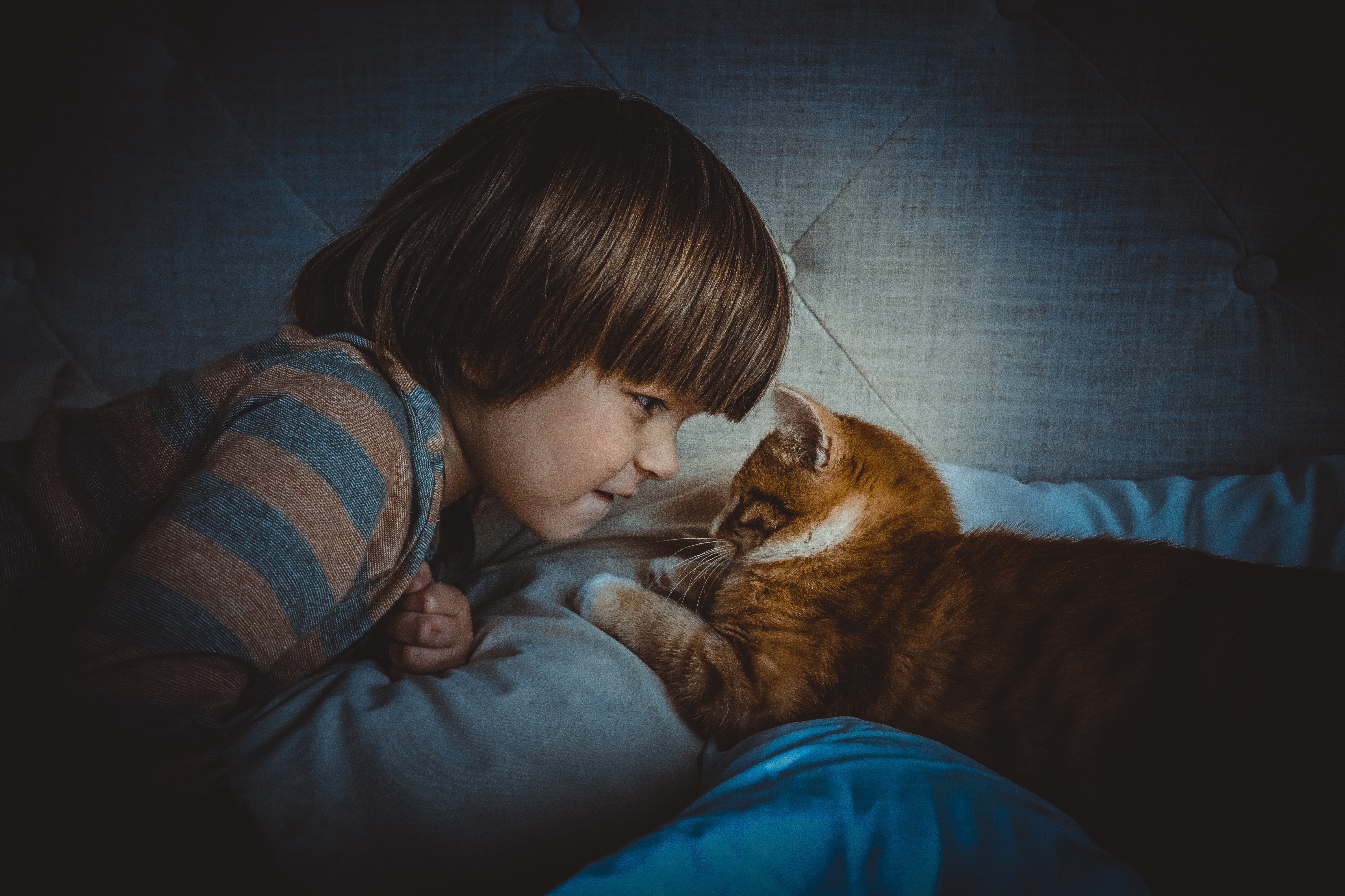 Обнимать кошку. Кошка мальчик. Кот обнимает. Мальчик с рыжим котом.