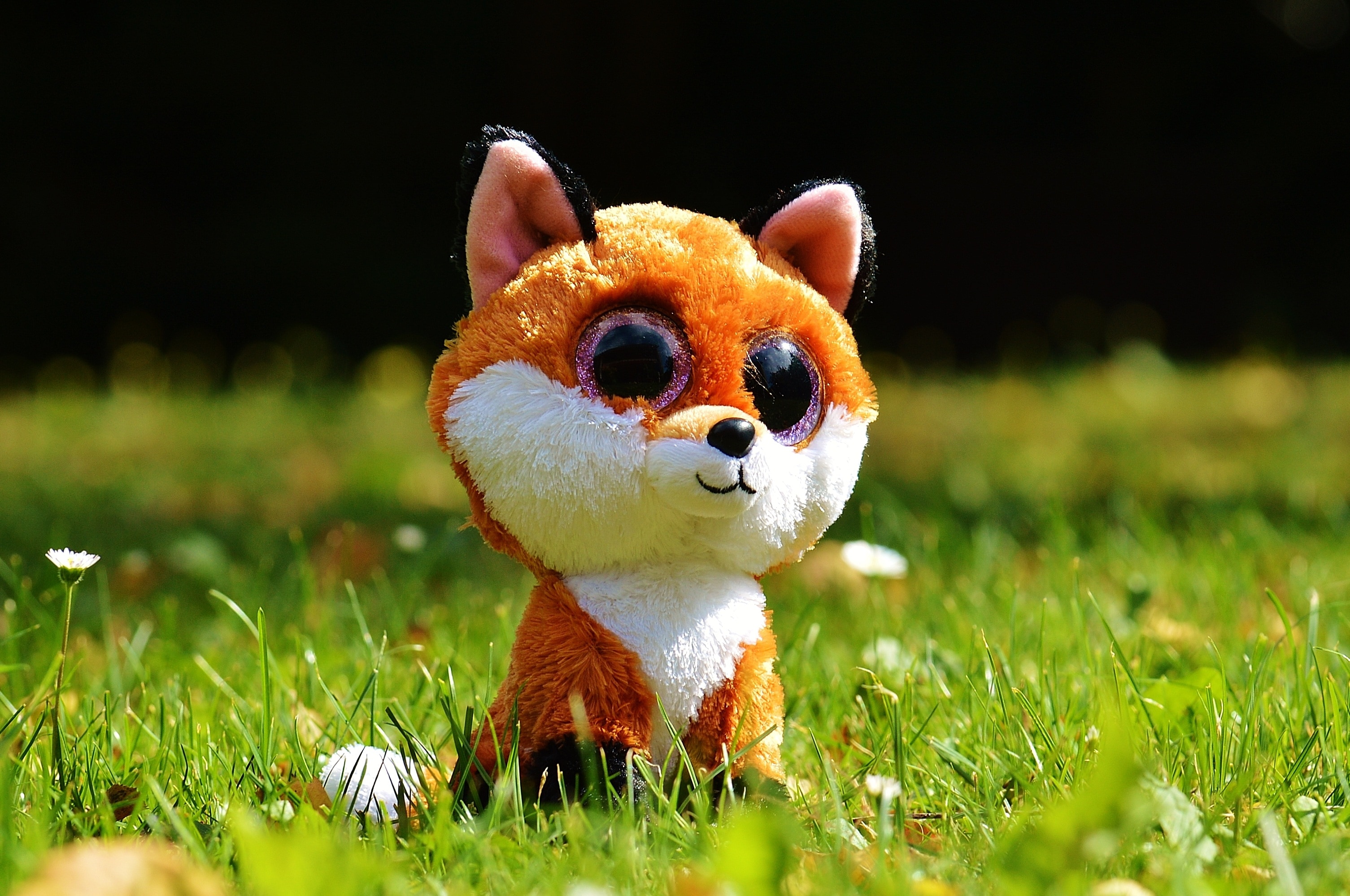 white and brown plush toy on grass